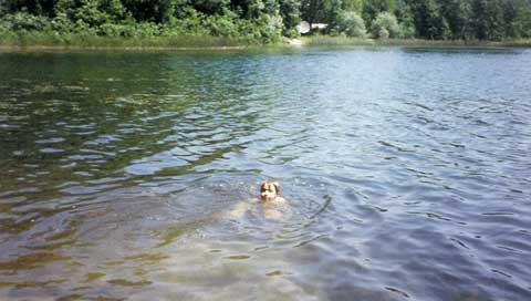 The water in Porcupine Lake is clean and refreshing. Located in Gaylord, Michigan on 40 acres is available for hunters, snowmobilers, weekend getaways, summer camping, and family vacations. The cozy and clean cottage is available to rent for the weekend, entire week, or monthly rates are available too! Call Brian or Donna Clark at (989) 614-0248